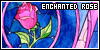 Affiliate: Noonvale (Enchanted Rose)